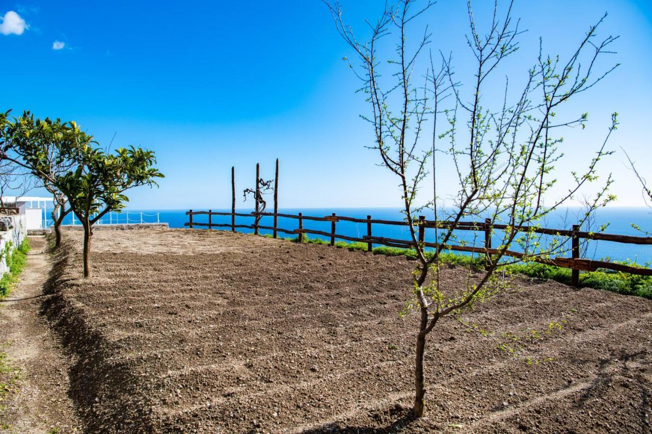 Villa La Tagliata Spectacular Jacuzzi Tub Amazing View And Private Parking Garage Positano Buitenkant foto